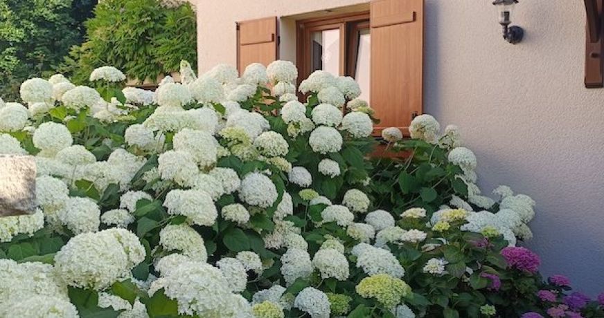 vente Maison Chateaufort