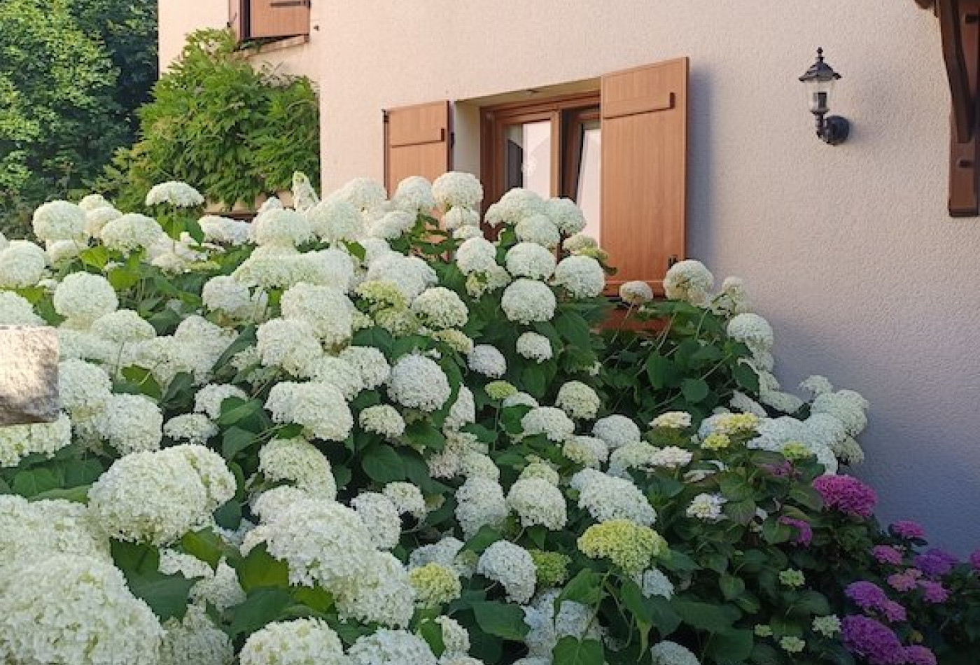 vente Maison Chateaufort - Photo 5