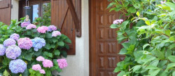 vente Maison Chevreuse