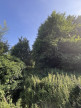 à vendre Maison Chateaufort