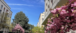 vente Appartement Versailles