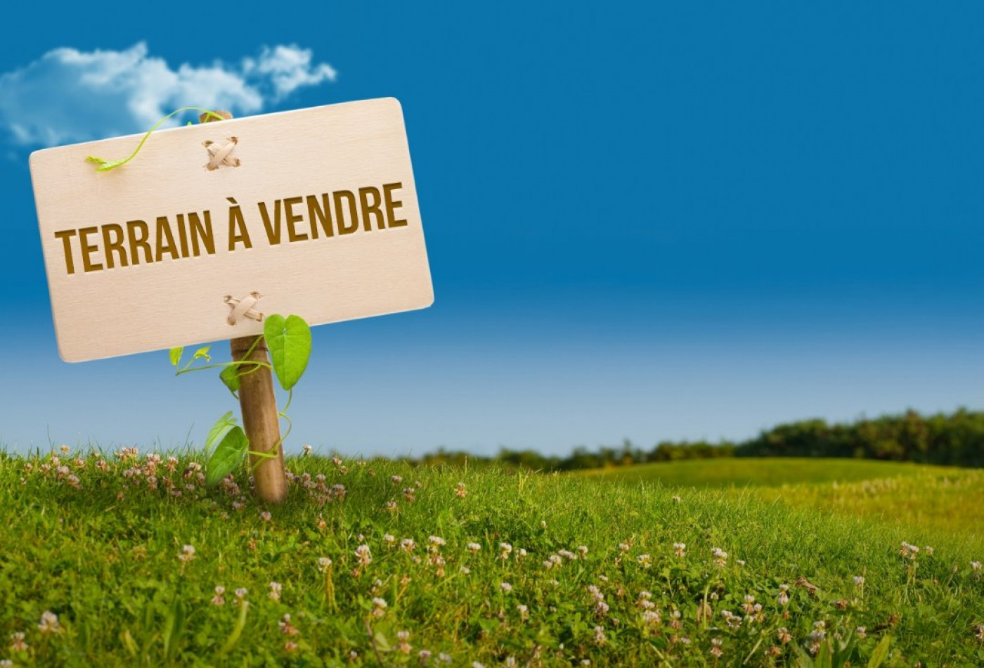 vente Terrain Mousseaux Sur Seine - Photo 1