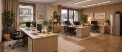 vente Bureau Versailles