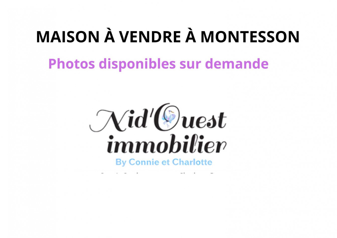 à vendre Maison Montesson - Photo 1