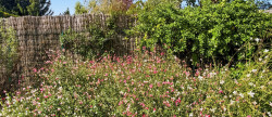 vente Maison Mareil Marly