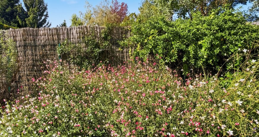 vente Maison Mareil Marly