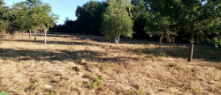 vente Terrain constructible Sanxay