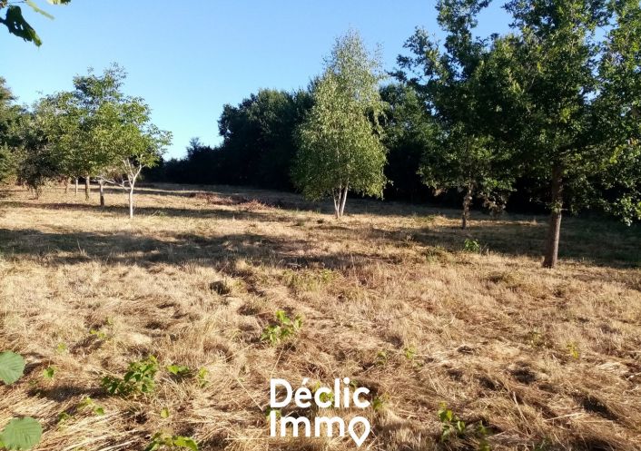 vente Terrain constructible Sanxay