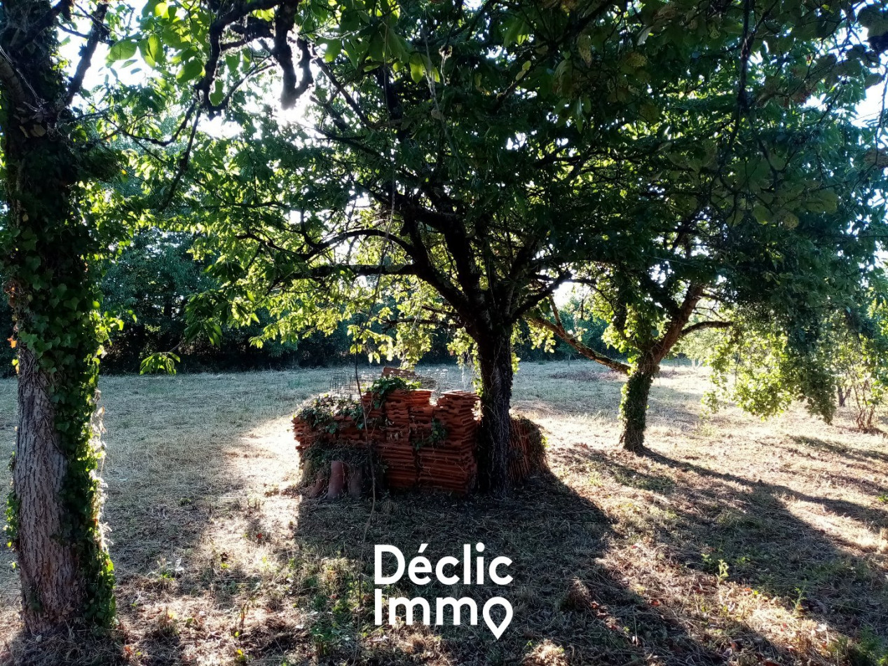 vente Terrain constructible Sanxay - Photo 2