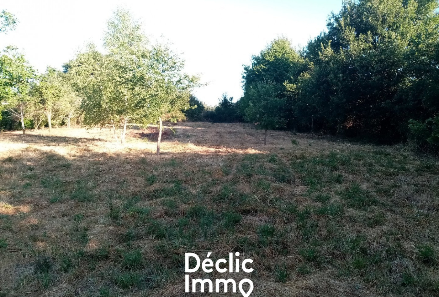 vente Terrain constructible Sanxay - Photo 4