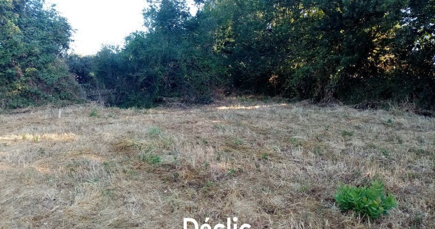 vente Terrain constructible Sanxay