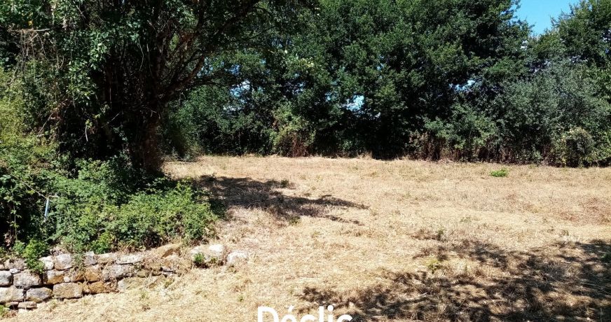vente Terrain constructible Sanxay