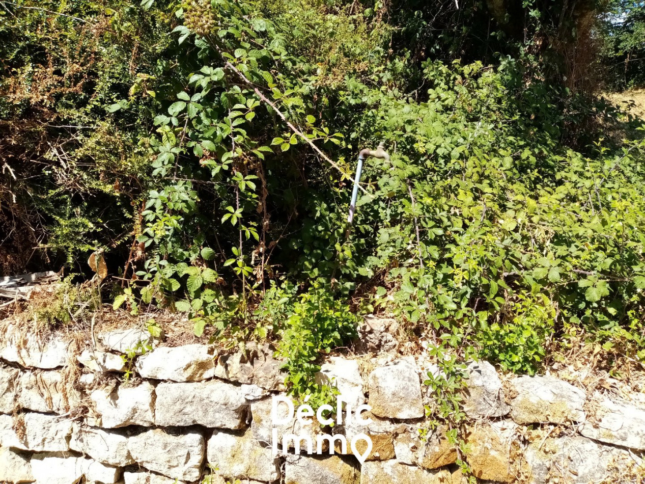 vente Terrain constructible Sanxay - Photo 7