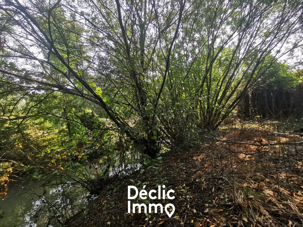 vente Fermette Damvix - Photo 12