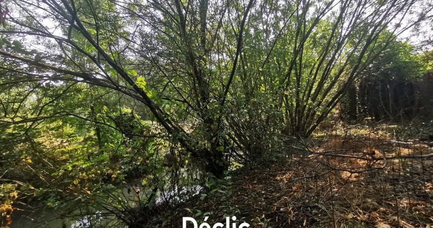 vente Fermette Damvix