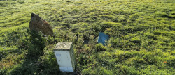 vente Terrain en lotissement Vausseroux