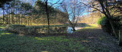 vente Etang Aubigny