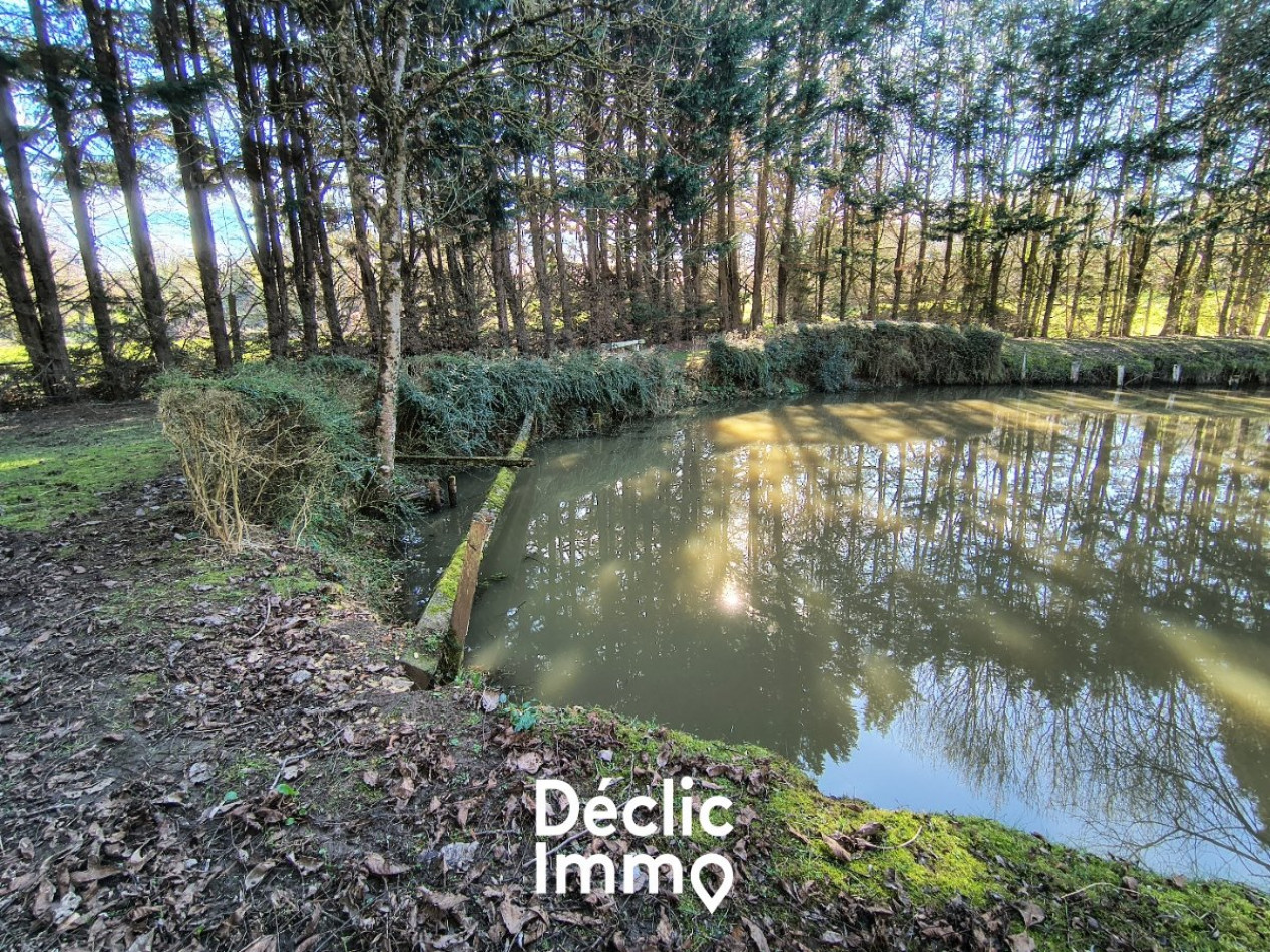 vente Etang Aubigny - Photo 6