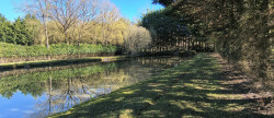 vente Etang Aubigny