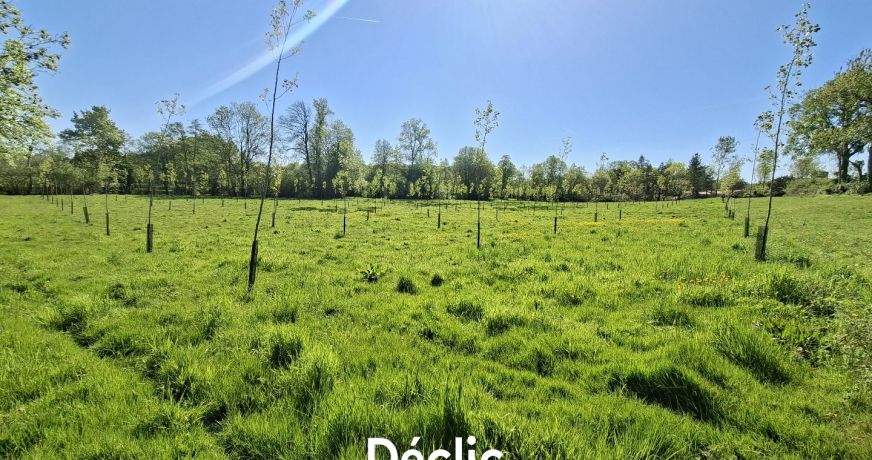 vente Propriété Fenioux