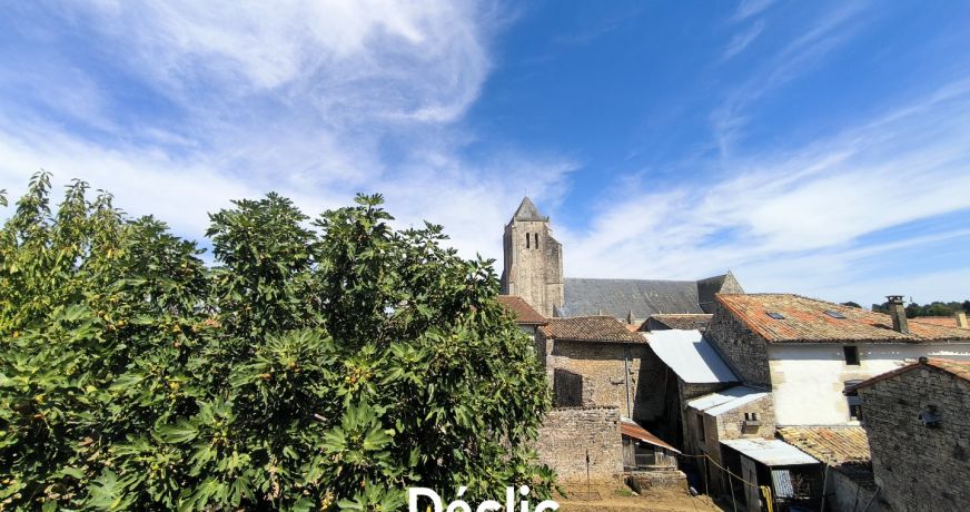 vente Maison à rénover Celles Sur Belle