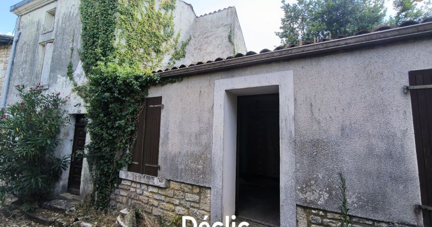 vente Maison à rénover Celles Sur Belle