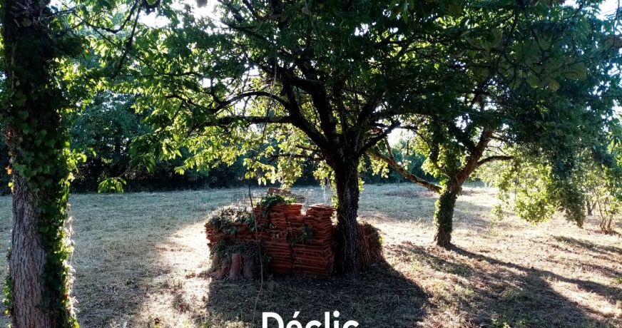 vente Terrain constructible Sanxay