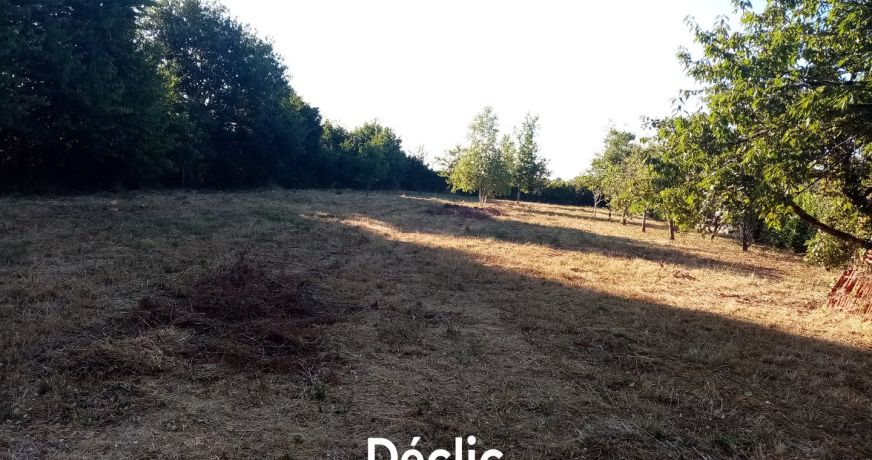 vente Terrain constructible Sanxay