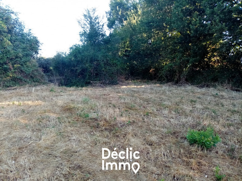 vente Terrain constructible Sanxay - Photo 6