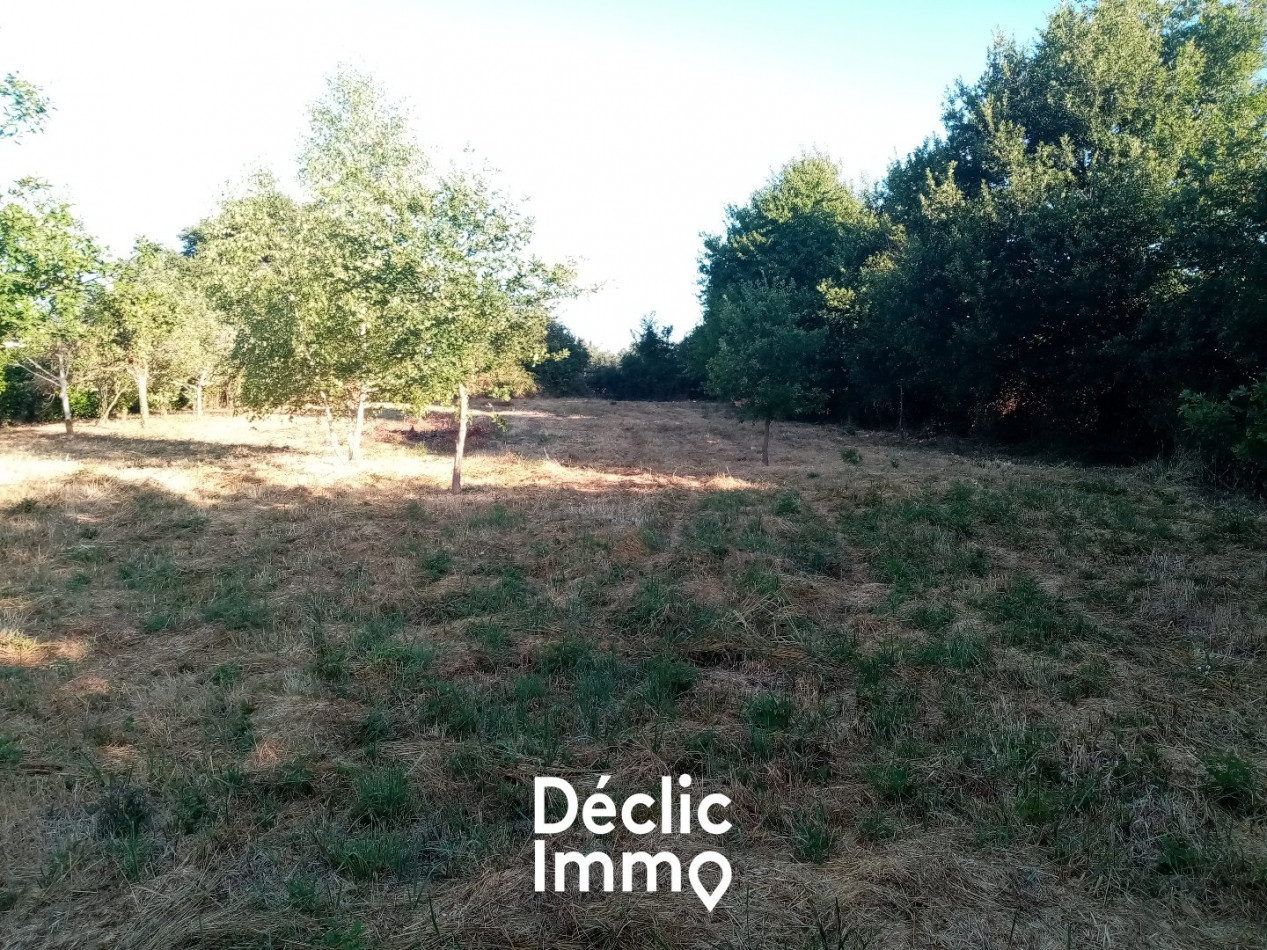 vente Terrain constructible Sanxay - Photo 2