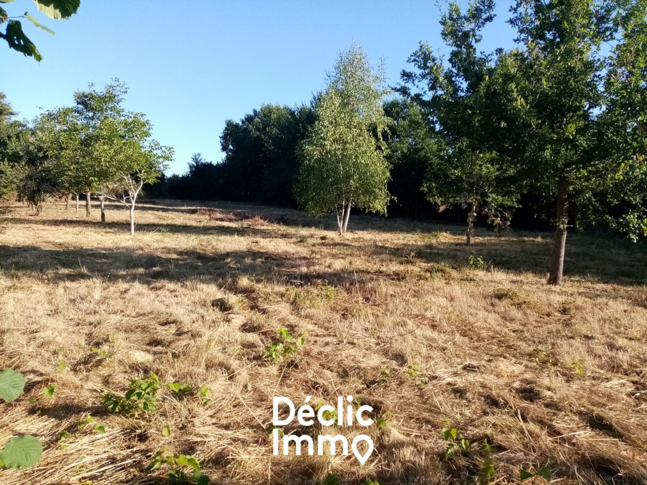 vente Terrain constructible Sanxay - Photo 1
