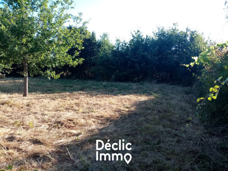 vente Terrain constructible Sanxay - Photo 7