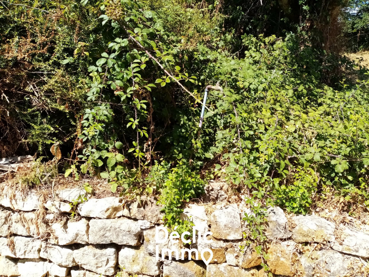 vente Terrain constructible Sanxay - Photo 9