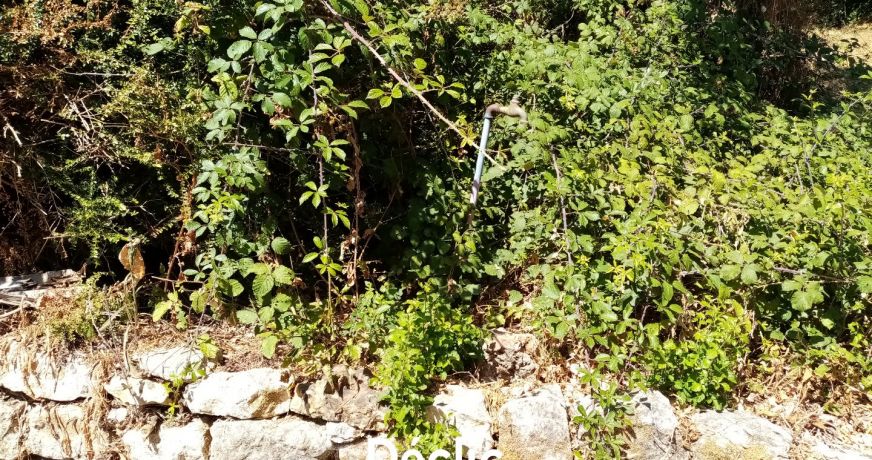 vente Terrain constructible Sanxay