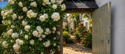 vente Maison Rubempre