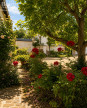for sale Maison Rubempre