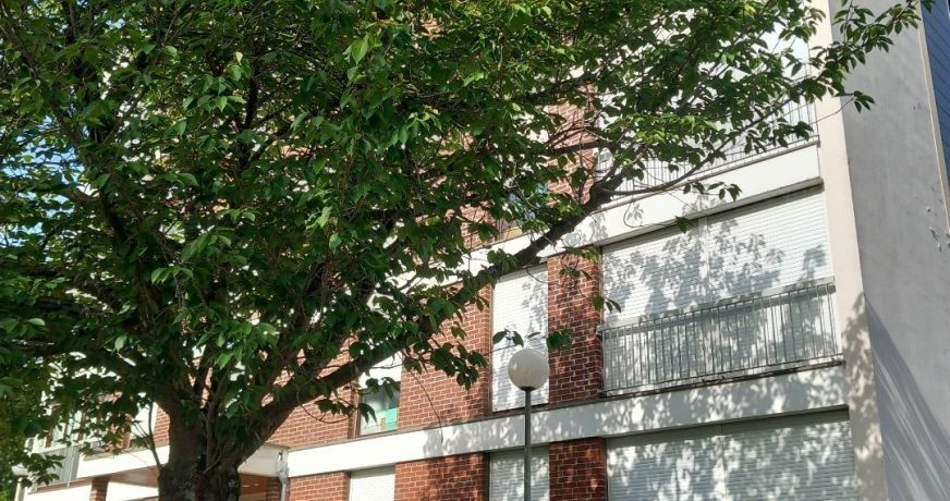 vente Appartement Amiens
