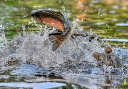 vente Café tabac presse Saint Quentin