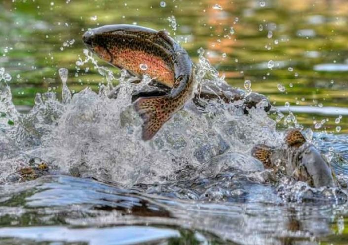 sale Café   tabac   presse Saint Quentin