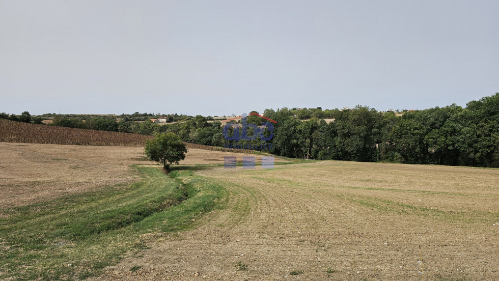 vente Corps de ferme Albi - Photo 10