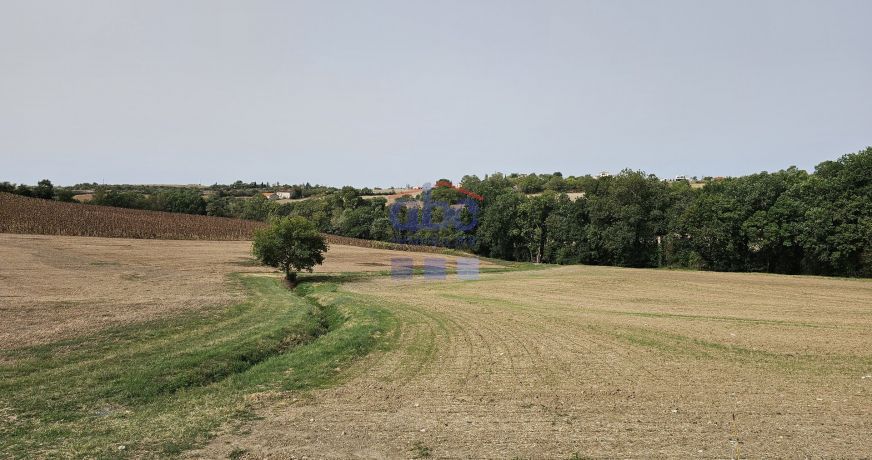 vente Corps de ferme Albi