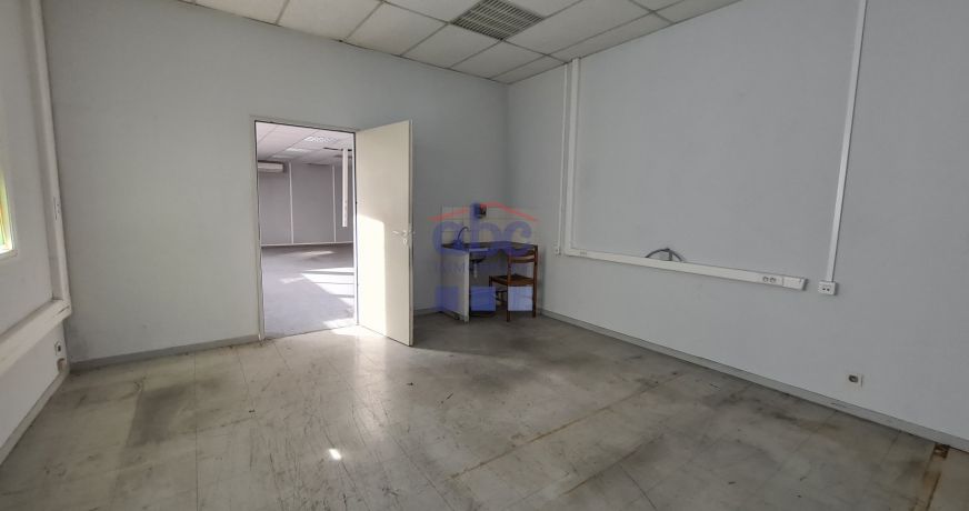 location Locaux d'activité Albi