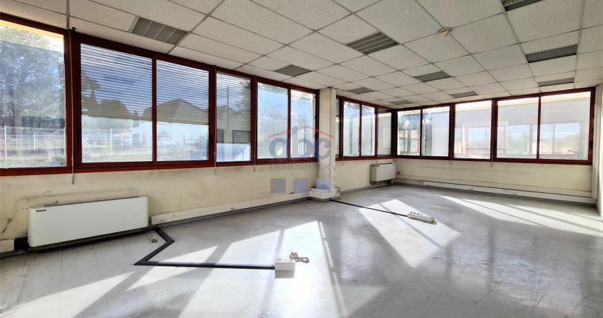 location Locaux d'activité Albi
