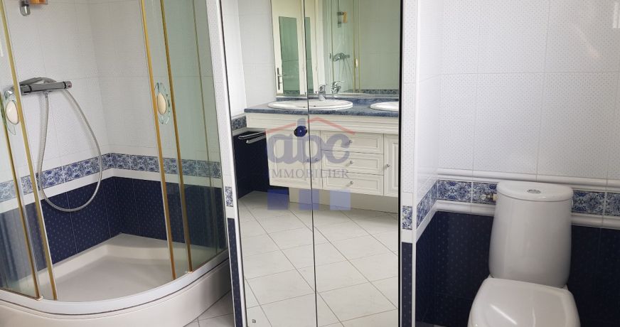 vente Immeuble à découper Albi