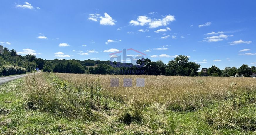 vente Terrain Saint Julien Du Puy