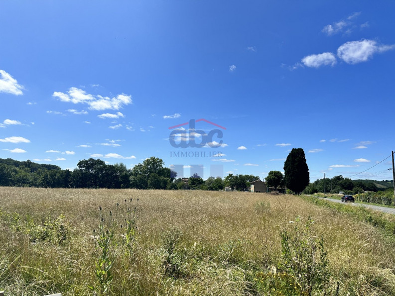 vente Terrain Saint Julien Du Puy - Photo 3