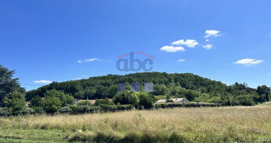 vente Terrain Saint Julien Du Puy