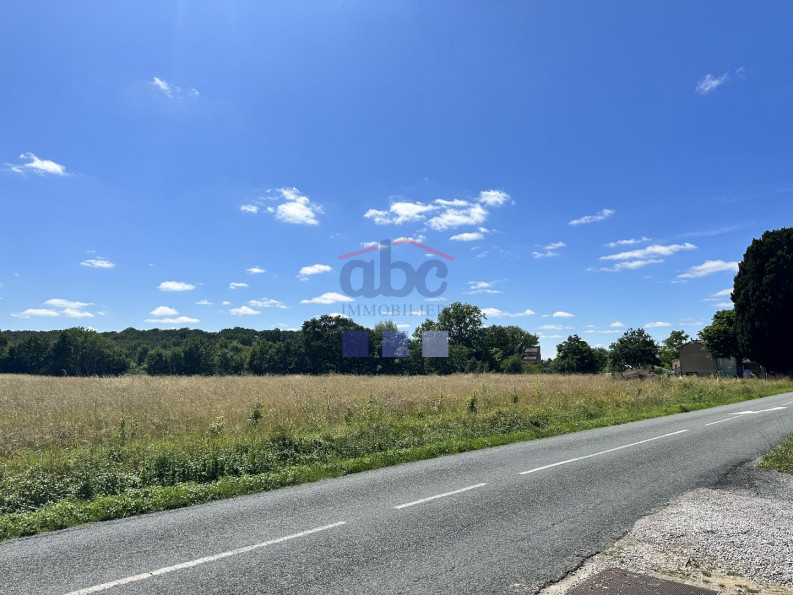 vente Terrain Saint Julien Du Puy - Photo 5