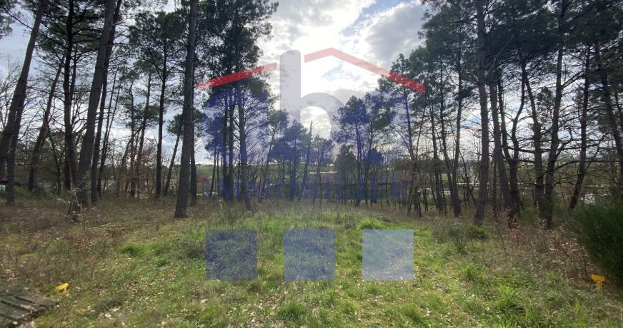 vente Terrain à aménager Montans