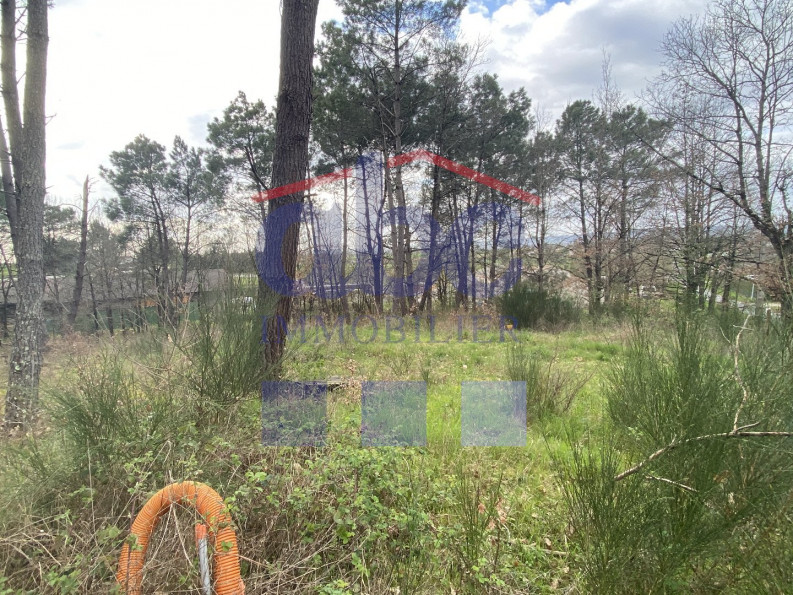 vente Terrain à aménager Montans - Photo 5